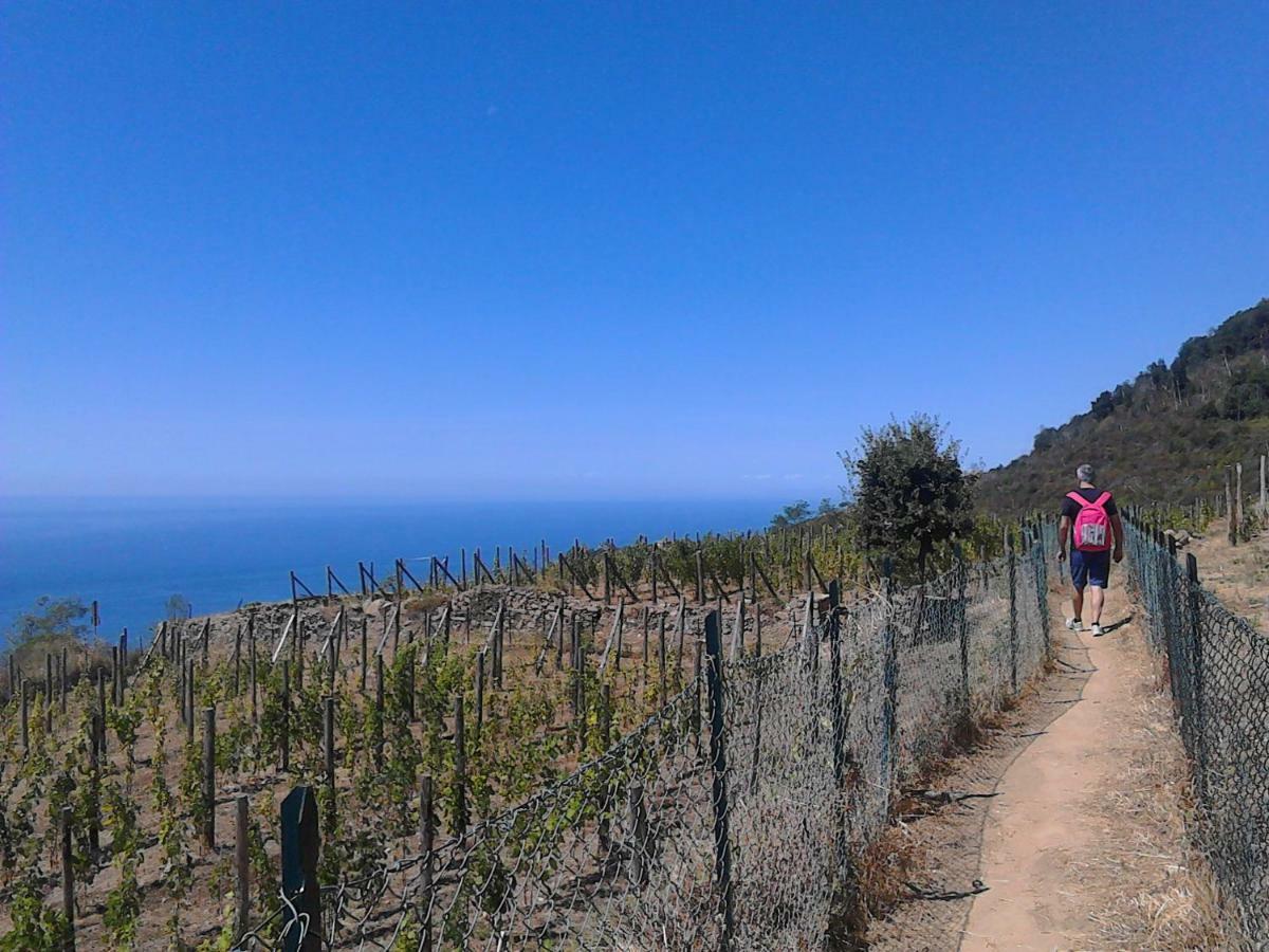 라스페치아 Mare, Monti E...Cinque Terre 아파트 외부 사진